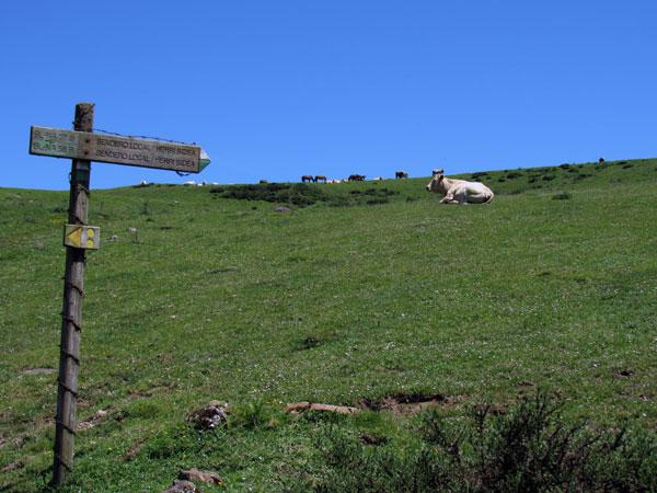 ¡Para la derecha, camarada!