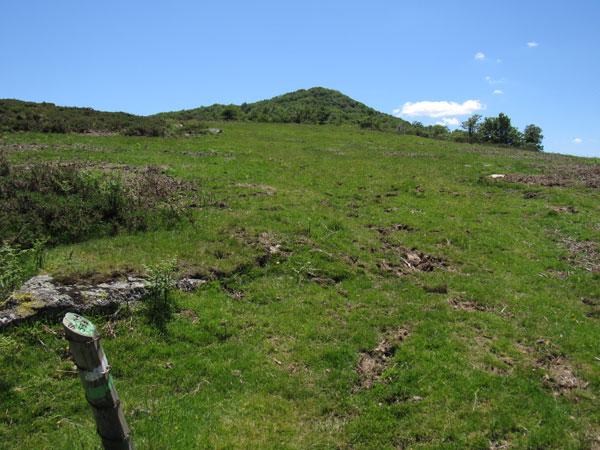Allá asoma la arbolada cima de Mendilatz