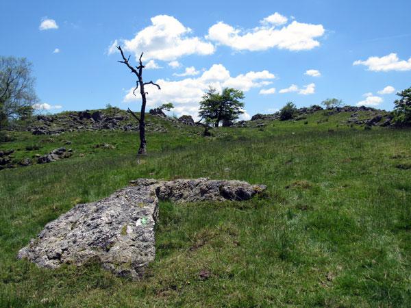 Atentos a las marcas del SL seguimos con la marcha
