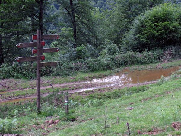 ¡Uff! ¡Cuánta indicación! Pero mejor que sea así...