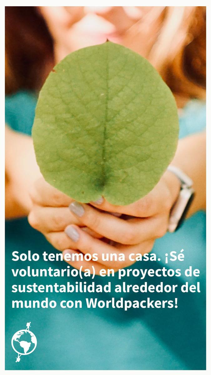 Voluntariado con Worldpackers