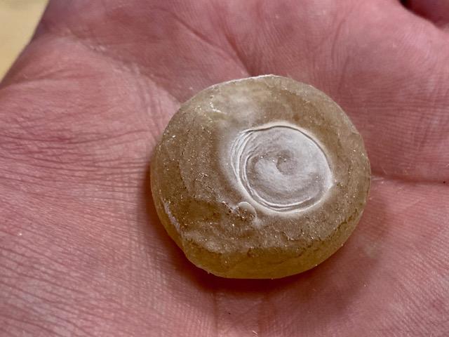 Cocina Umbilical. Doppelgänger