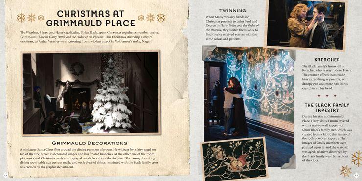 Harry Potter libro navidad