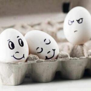 paejas celosas- celotipias