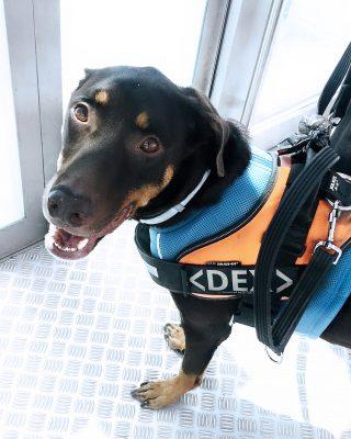 Dex 5 días antes de marcharse