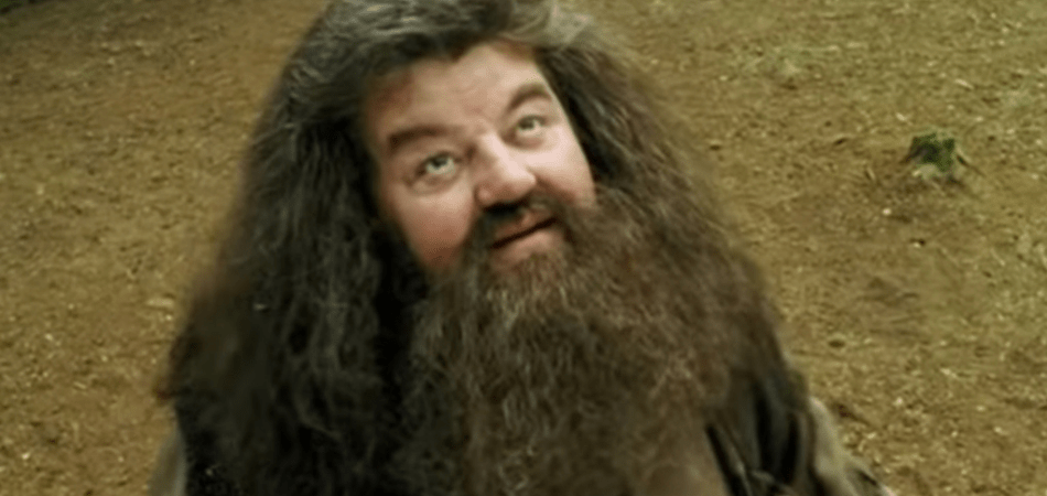 Rubeus Hagrid