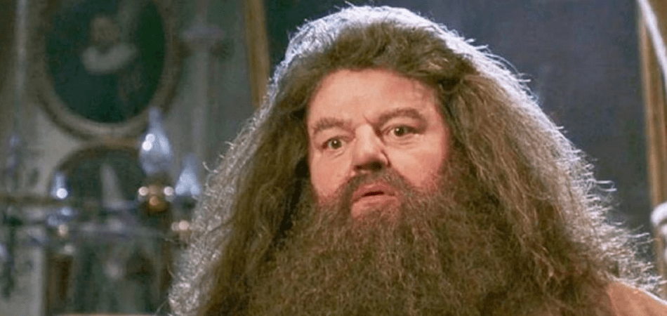 Rubeus Hagrid