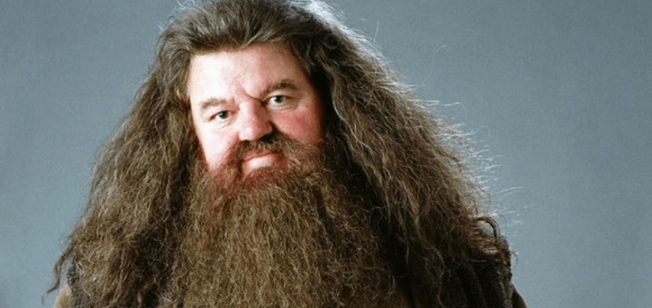 Rubeus Hagrid