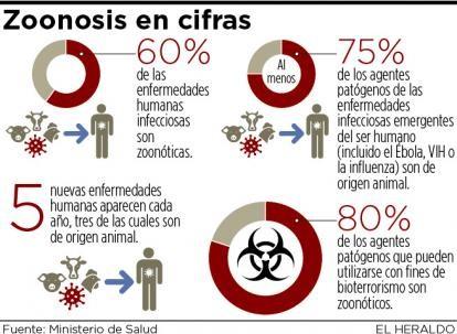 Porcentajes de zoonosis.