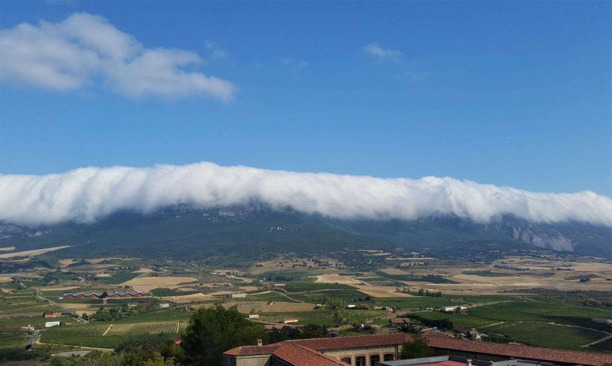 Panorámica de Rioja Alavesa