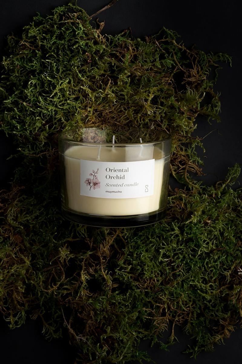 Aromas-para-el-hogar-vela-muymucho-@mariaalgaraphotography-min