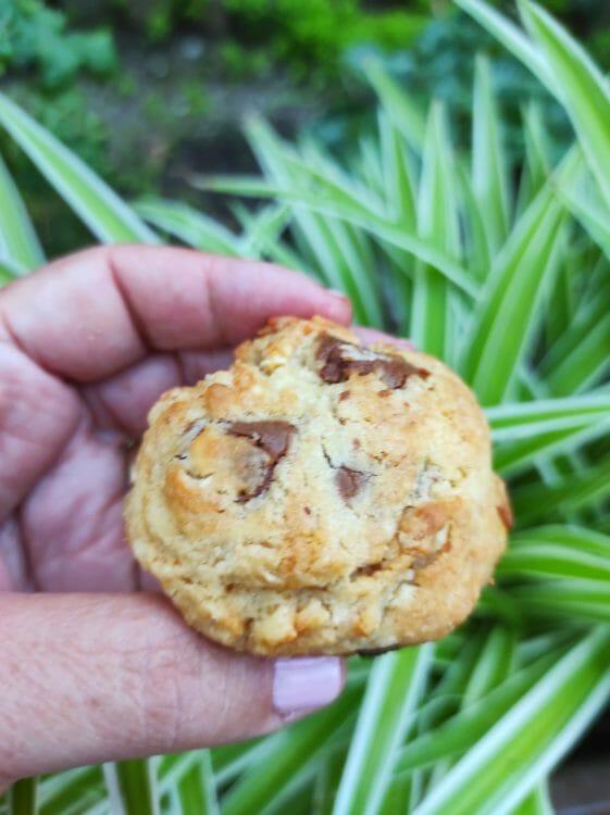 Galletas con avellanas y trozos de chocolate Kit Kat