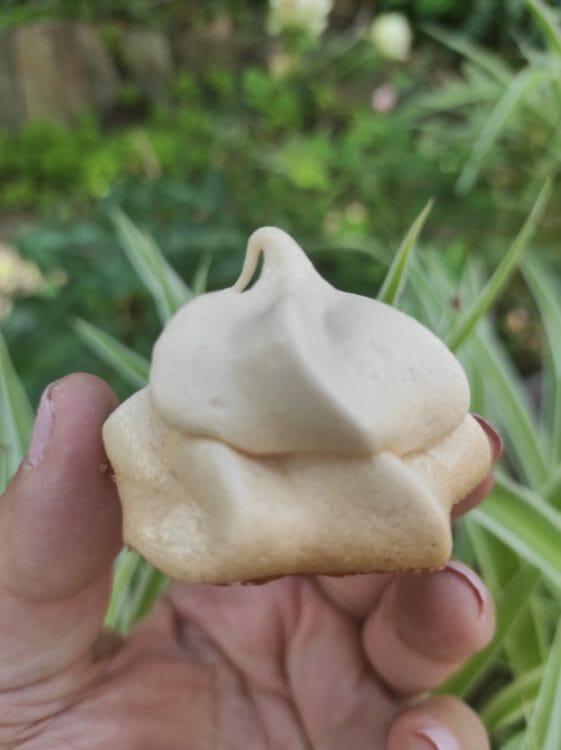 Los mas ricos merenguitos