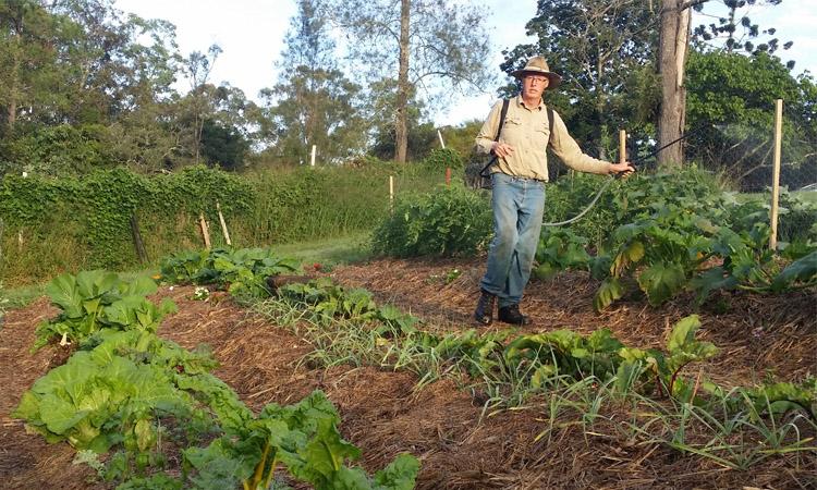Guía de biodinámica