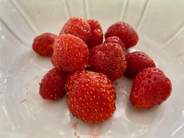 Saboreando el Edén. Huerta de Carabaña