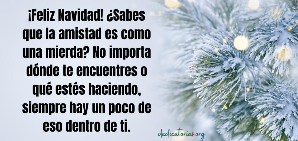 dedicatoria de navidad a un amigo
