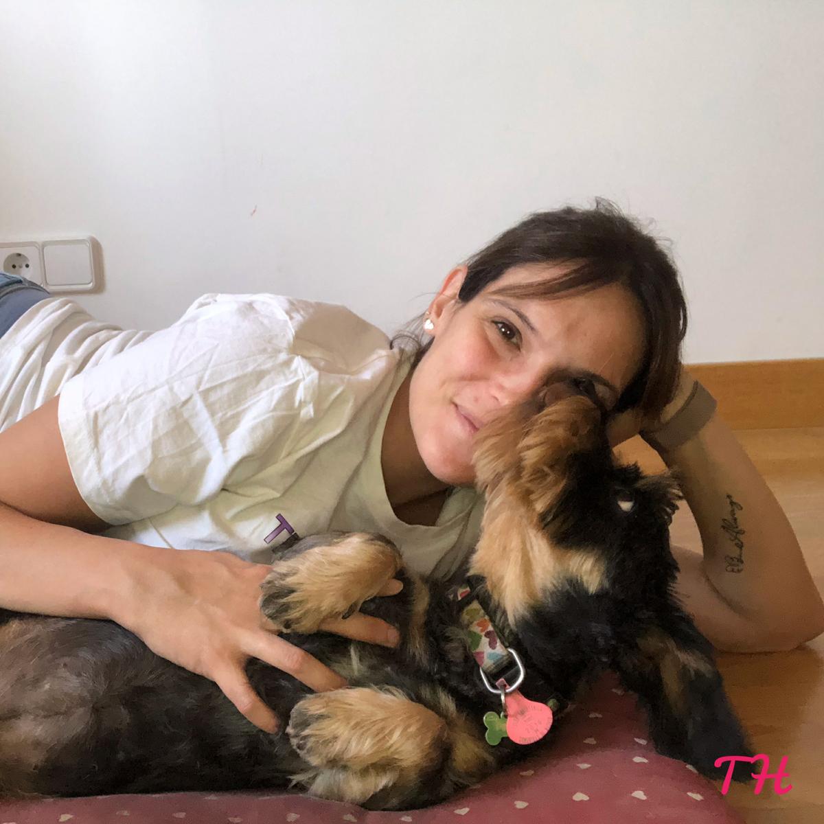 Shiatsu para animales