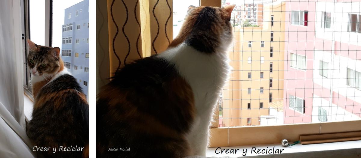 En este post te quiero mostrar algunas de las cosas que hacemos mi familia y yo en nuestro hogar, con el tema del reciclaje