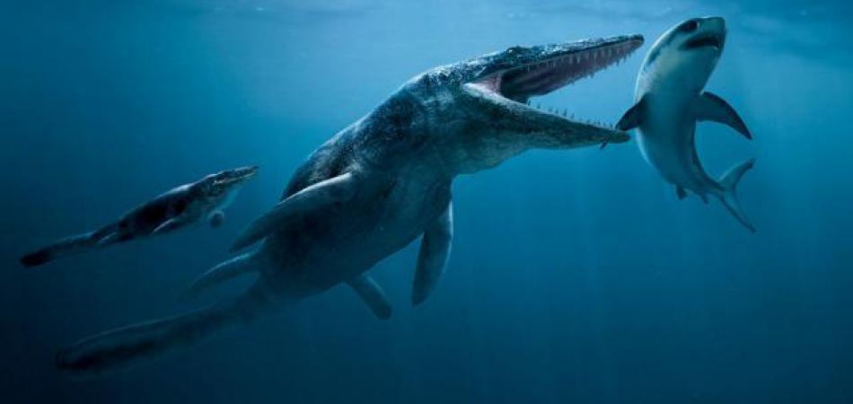 megalodon