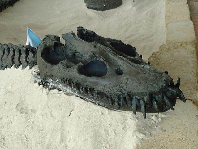 los dinosaurios gigantes 