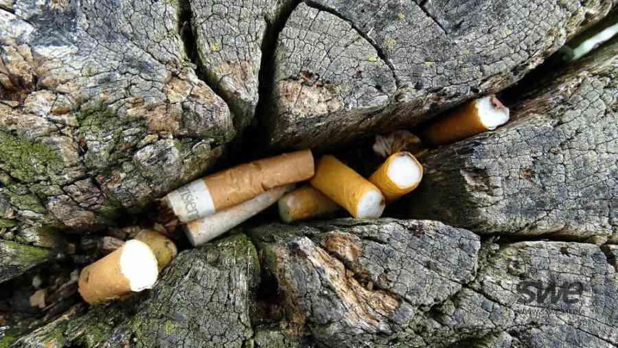Cigarrillos Contaminantes
