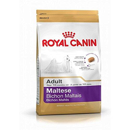 Royal Canin Maltés 24 Canino adulto seco perro comida 1.5KG