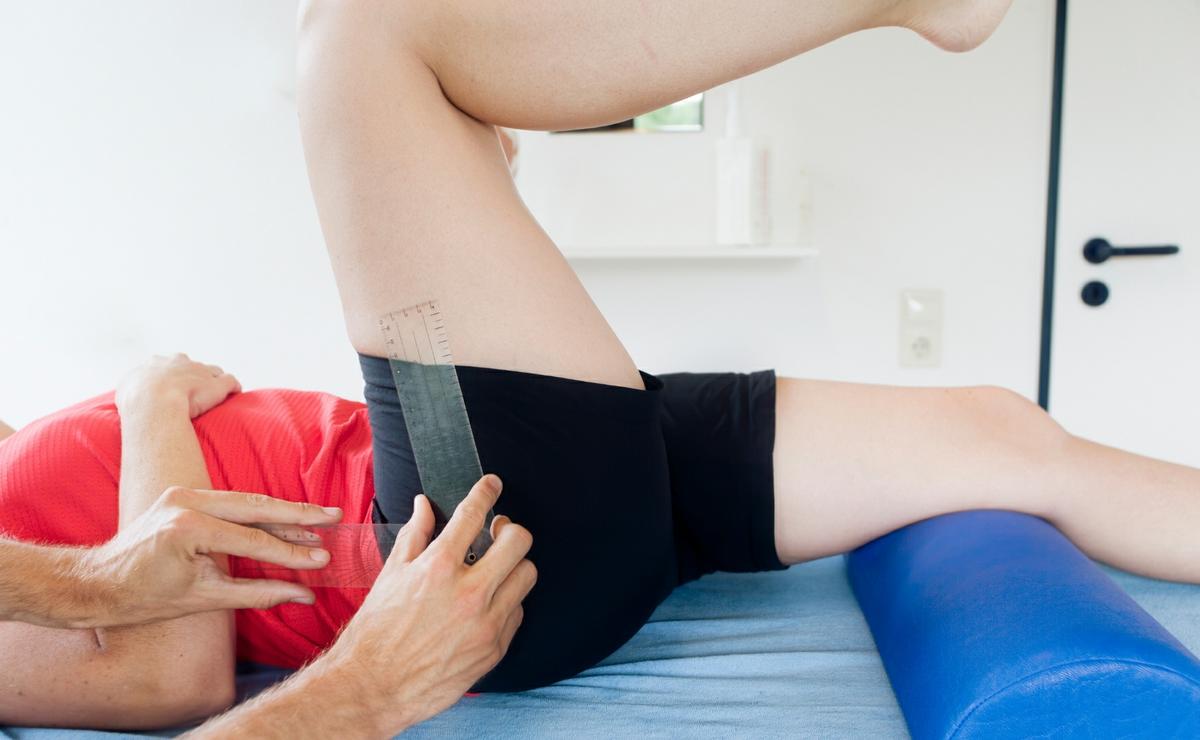 El cuádriceps flexiona la cadera