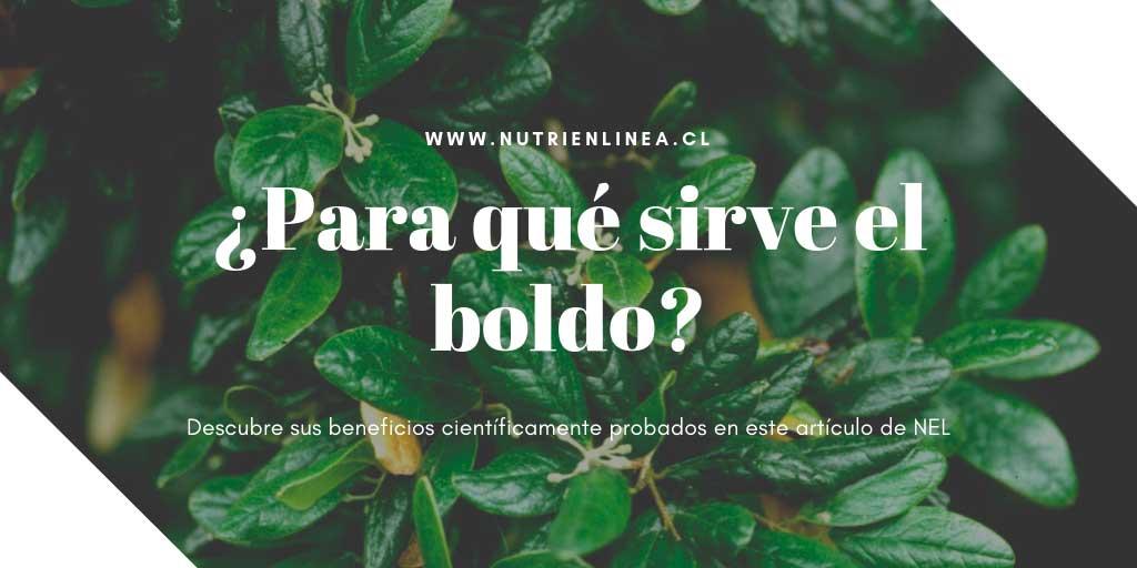 boldo para que sirve portada
