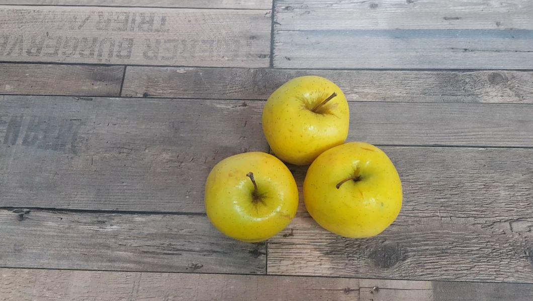 Manzana deshidratada en freidora de aire