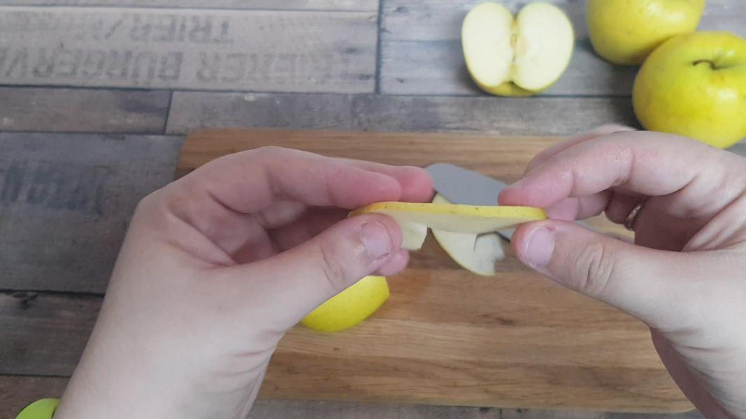 Manzana deshidratada en freidora de aire caliente