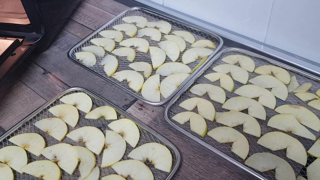 deshidratar fruta en freidora de aire caliente