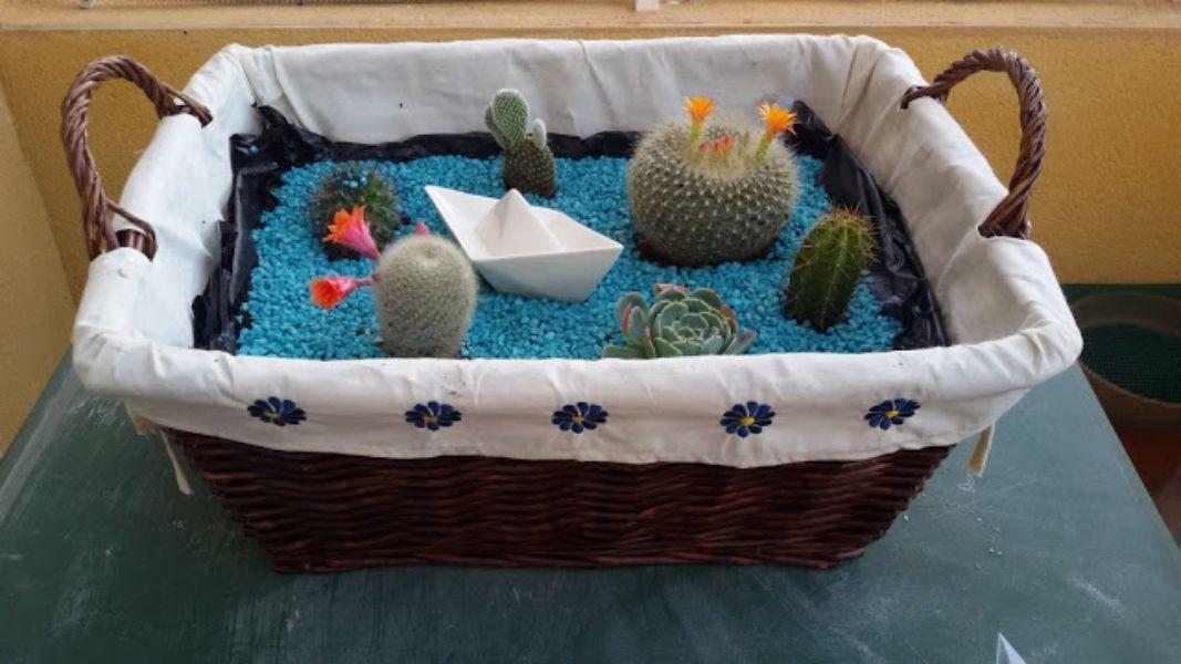 Cesta de mimbre con cactus. Patricienta Cook. Patricienta Art.