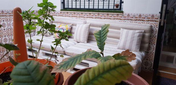 Sofá exterior con palets