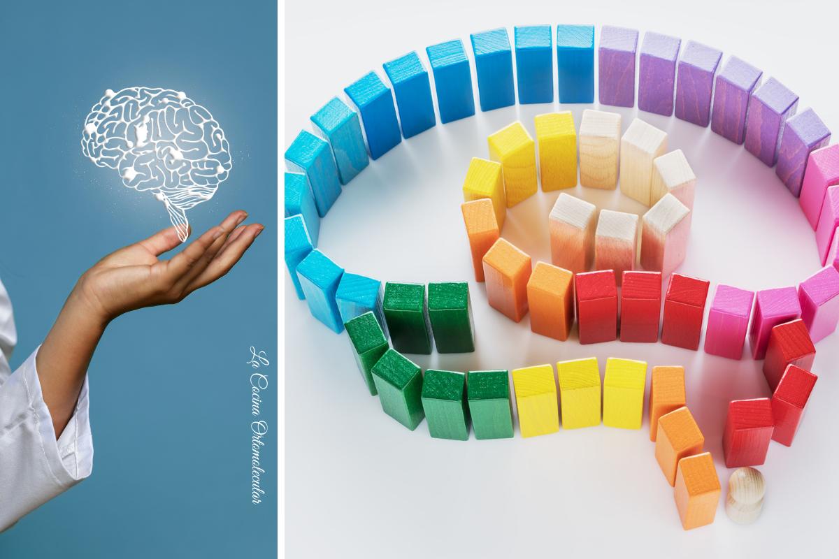 Bacopa y Huperzina A para la salud cognitiva- La Cocina Ortomolecular