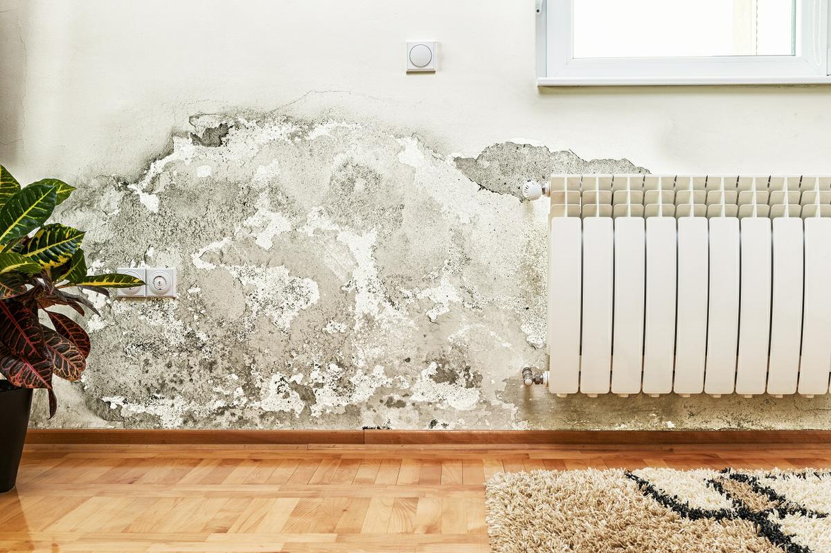 Cómo eliminar humedades en la pared