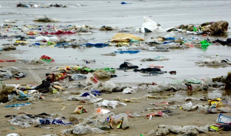 Acumulación de plásticos en la orilla del mar. Crédito: MARTÍN LEÓN (2019)