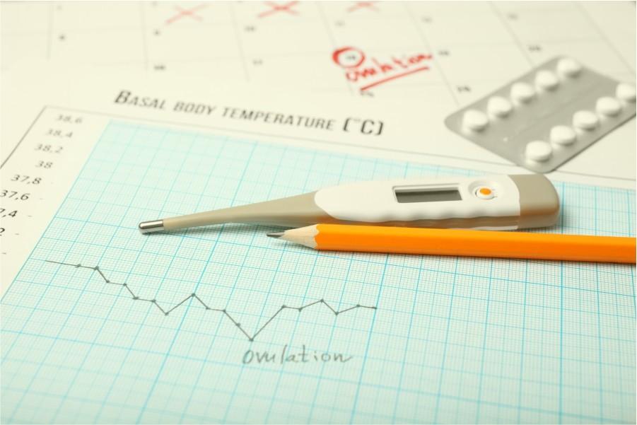 semana 2 de embarazo ovulación temperatura basal