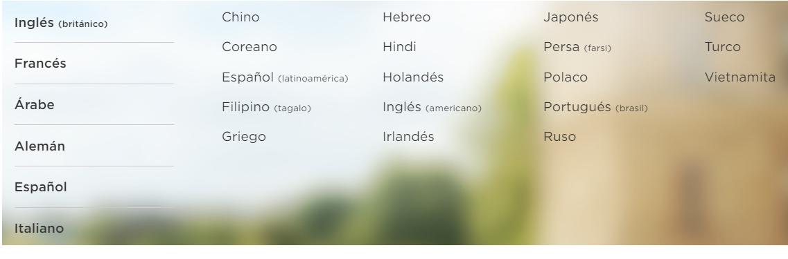 idiomas rosetta stone