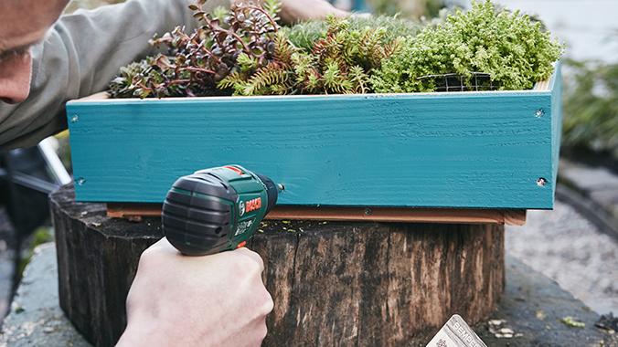 Decoración antiestrés