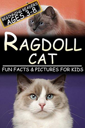 Ragdoll: Fun Facts & Pictures For Kids, Beginning Readers Ages 3-8 (English Edition)