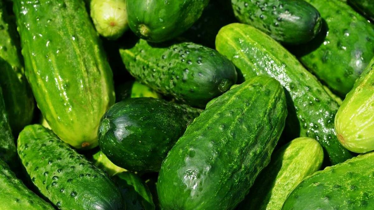 Pepinos y perejil para el colesterol