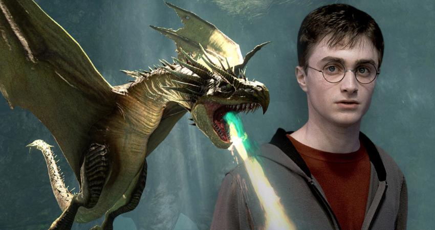 dragon mundo magico harry potter