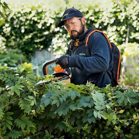 Cómo cuidar tu jardín