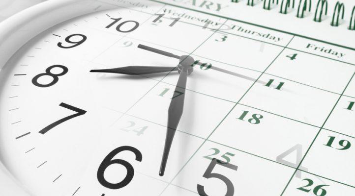 Cómo enseñar a mi perro a que orine donde yo quiero - Apréndete