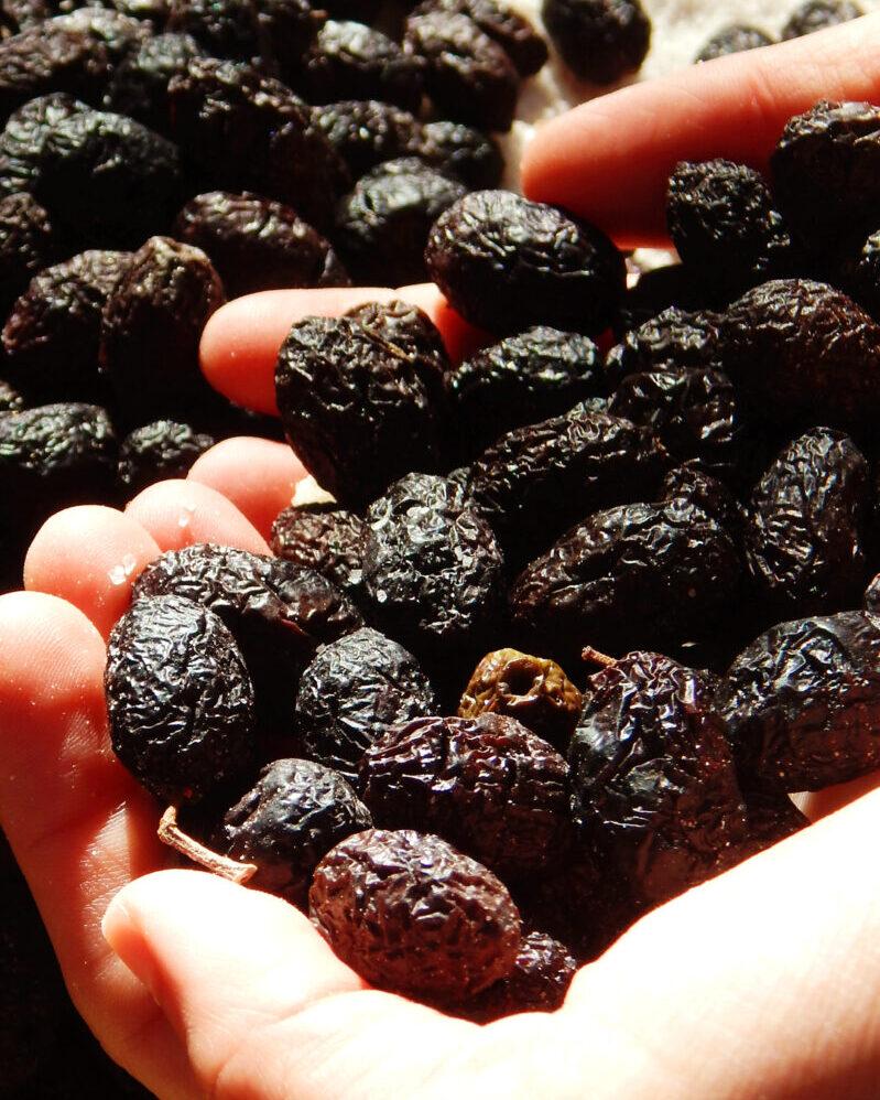 aceitunas negras griegas curar olivas
