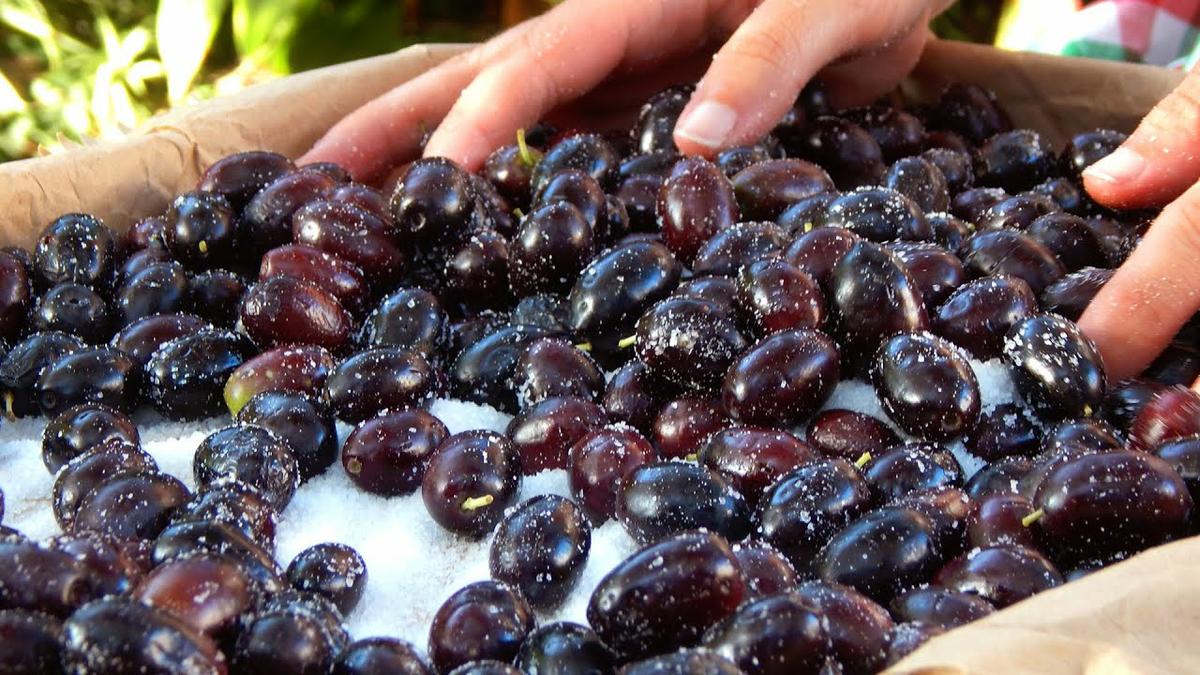aceitunas negras griegas curar olivas