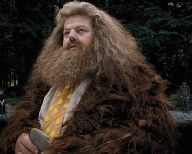 Test: ¿Te acuerdas de las mascotas de Hagrid?