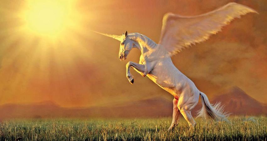 Unicornios de harry potter (1)