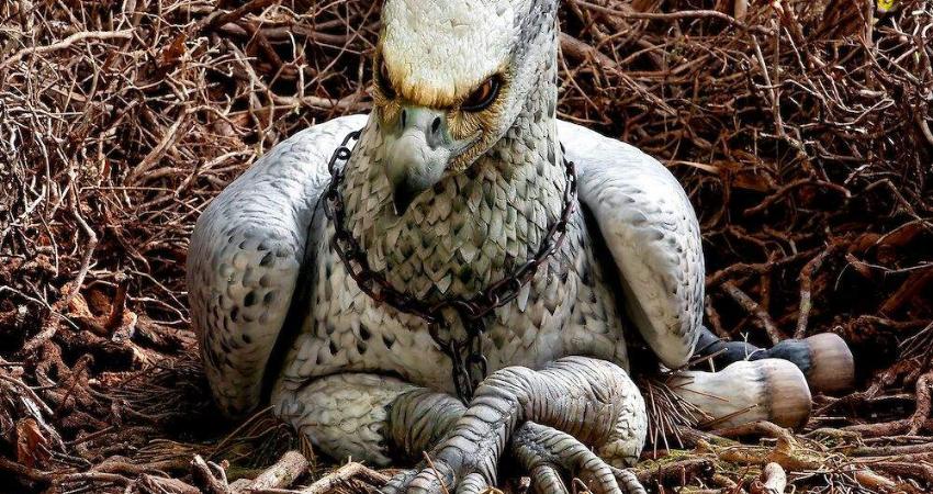 cachorro de hipogrifo