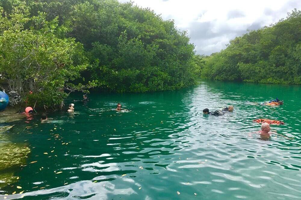 Cenotes Cancun